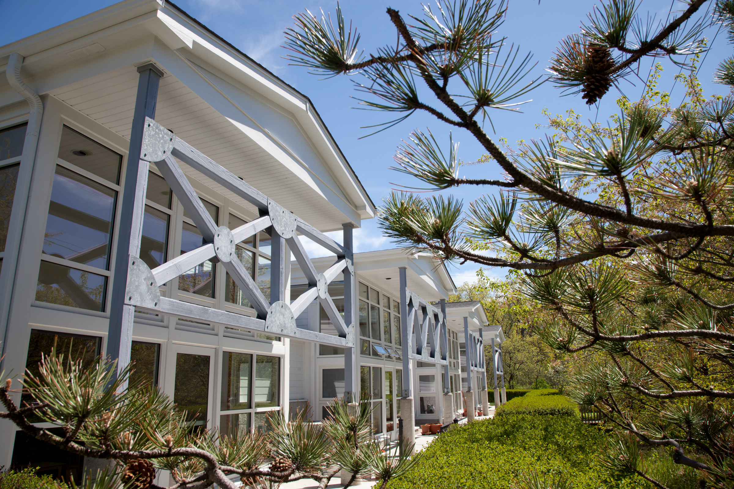 Forest Bluff School